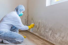 Mold Removal for HVAC Installations in Lake Brownwood, TX