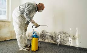 Trusted Lake Brownwood, TX Mold Remediation Experts