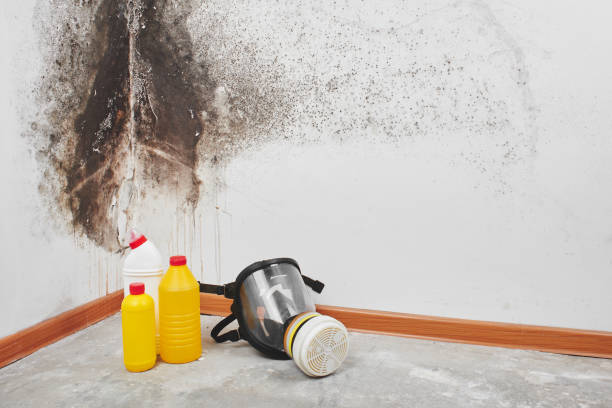 Best Industrial Mold Remediation  in Lake Brownwood, TX