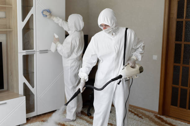 Forensic Mold Investigation in Lake Brownwood, TX