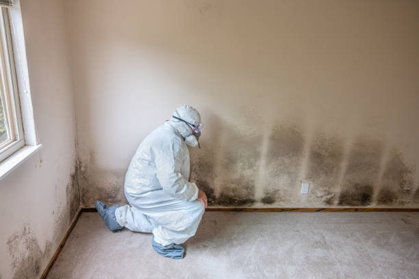 Best Asbestos and Lead Testing During Mold Inspection  in Lake Brownwood, TX