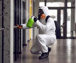  Lake Brownwood, TX Mold Remediation Pros